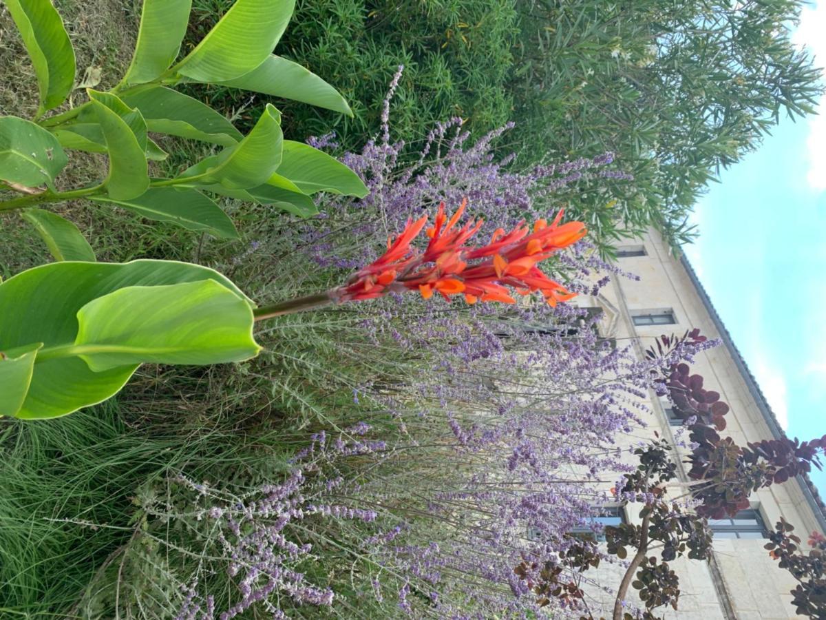 מלון La-Gripperie-Saint-Symphorien Domaine Terroceane מראה חיצוני תמונה