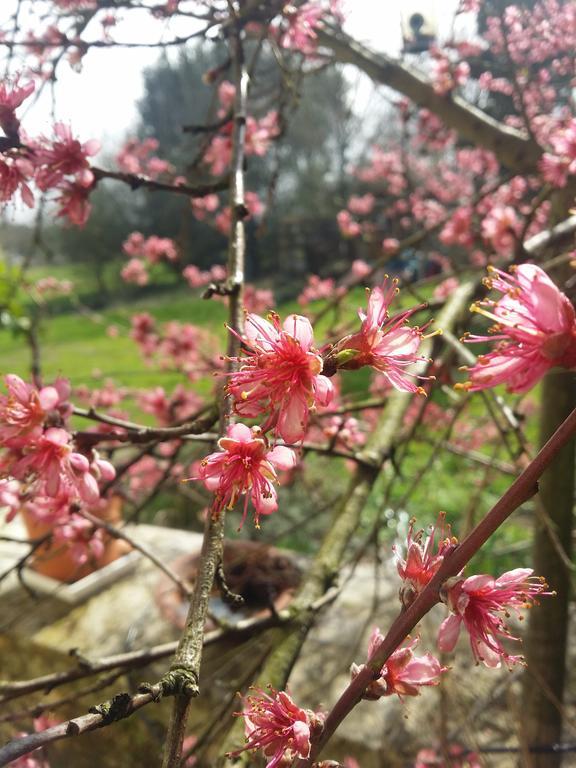 מלון La-Gripperie-Saint-Symphorien Domaine Terroceane מראה חיצוני תמונה